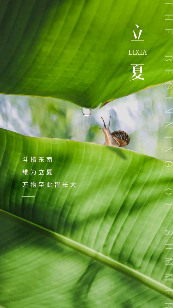 《五一、立夏诗词辑》(诗友合集)9770期~新京都文艺(图6)