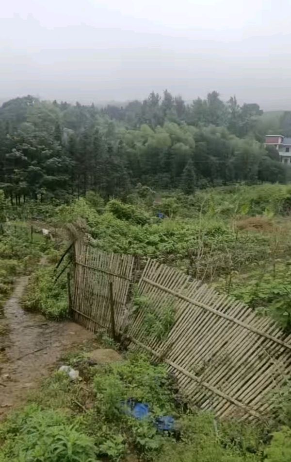 【荣耀中国】遐思谭立成（图3）