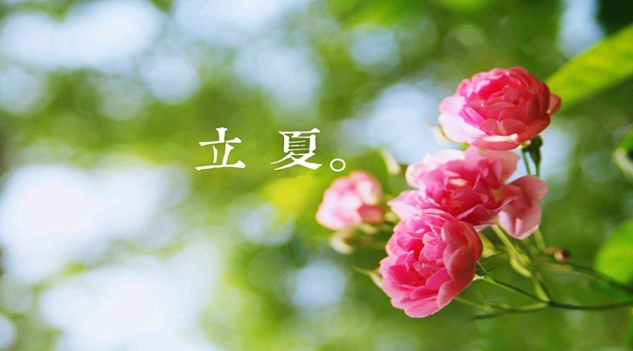 《立夏咏怀》金夜（兰州）（图3）