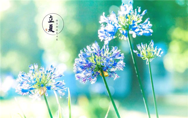 《立夏咏怀》金夜（兰州）（图4）