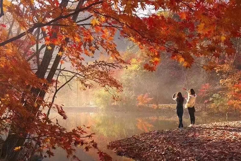 红梅诗歌文化传媒||刘传培（蓝衫布衣）诗词30首（图14）