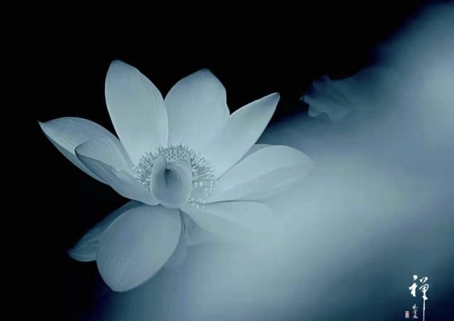 红梅诗歌文化传媒||刘传培（蓝衫布衣）诗词30首（图6）