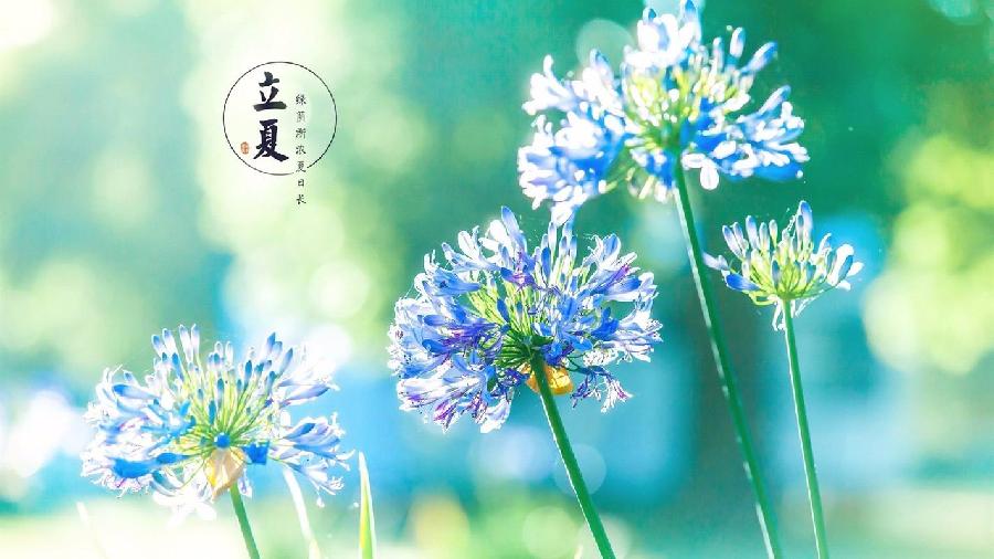 七律-立夏吟怀(组合)诗||于兴庆(图17)
