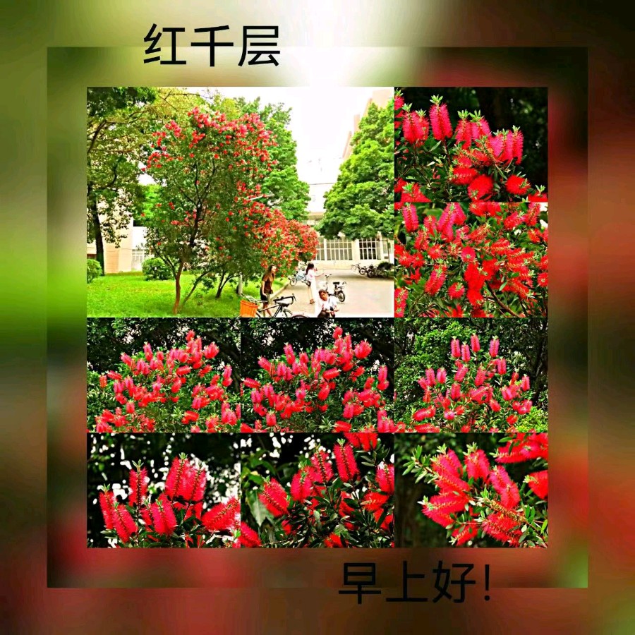 联机全球发布马洪武作品欣赏（图80）
