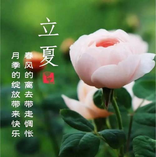 【经典推荐】曾培方//立夏感怀[外二首]（图3）