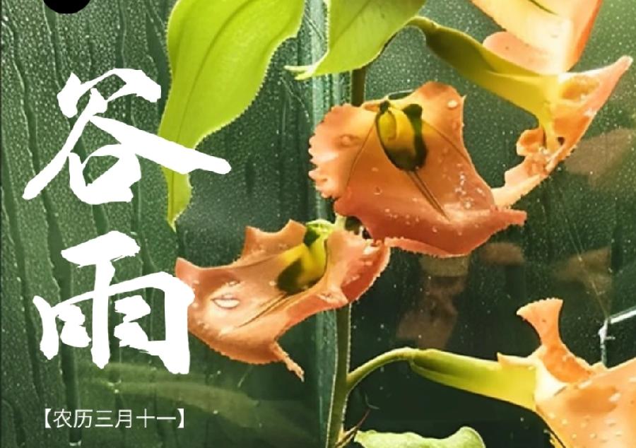 【国风燕赵诗社】北京诗人文坛娇子齐丽军老师个人诗词专辑!(图12)