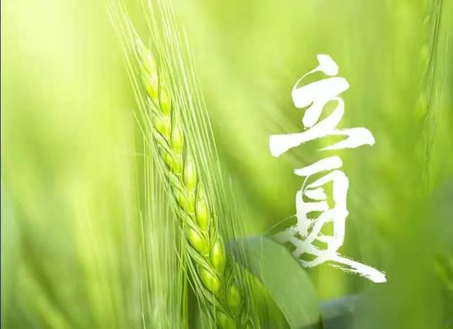 《迎夏》刘锁海（中国河北）（图3）