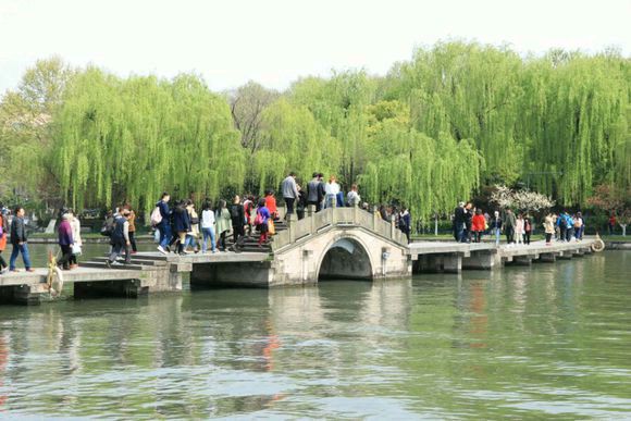 《五律 · 立夏日》文/高敬求（图4）