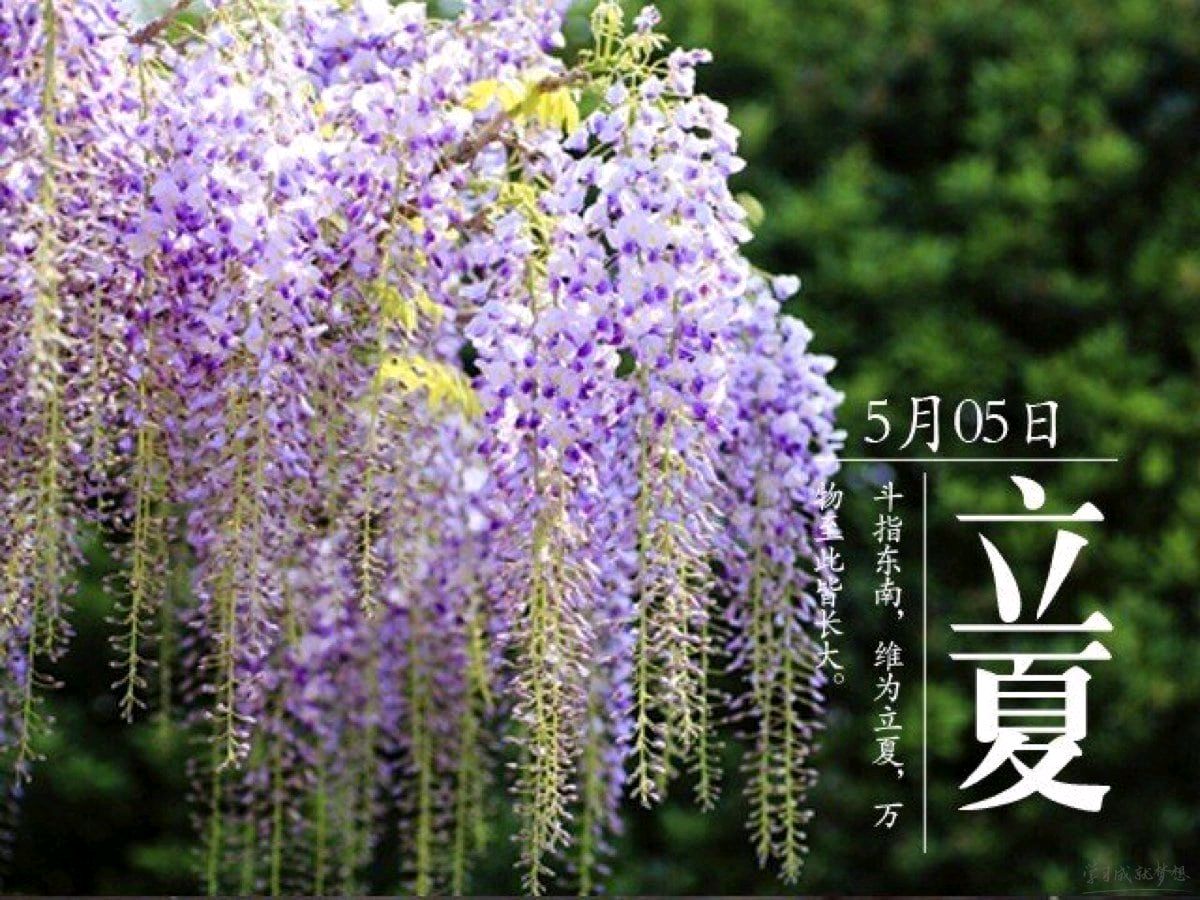 《九江文学社：北京头条》《甲辰立夏节气》专刊（图31）