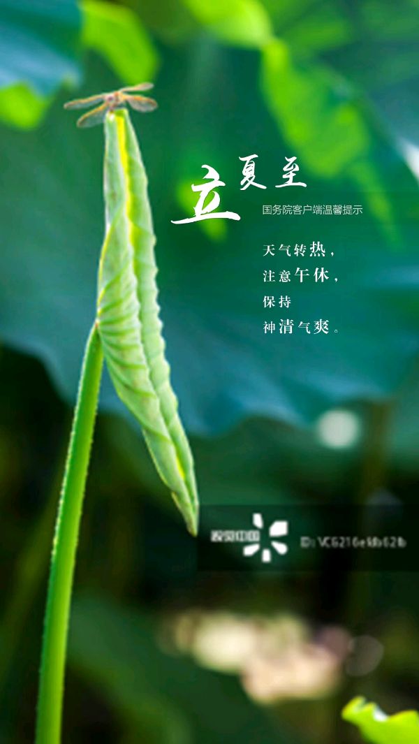 联机全球发布吴华龙作品欣赏！（图5）