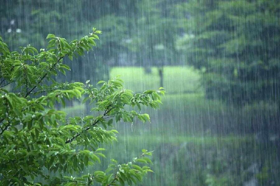 【唐增虎美文专刊】散文诗歌:《路》文/唐增虎(山东)(图4)