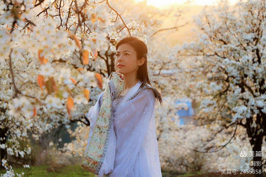 【唐增虎美文专刊】散文诗歌:《路》文/唐增虎(山东)(图5)