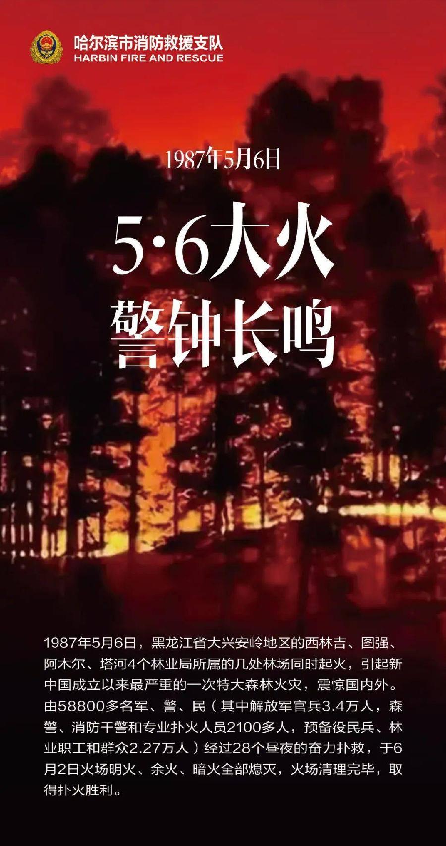 忆五六·思创伤·美家园～诗||王彦军（图8）