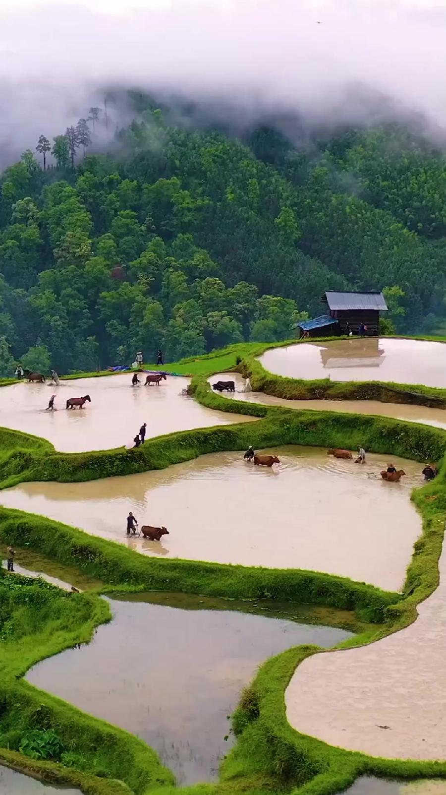 七律-柳林水～诗||刘瑞宝（图10）