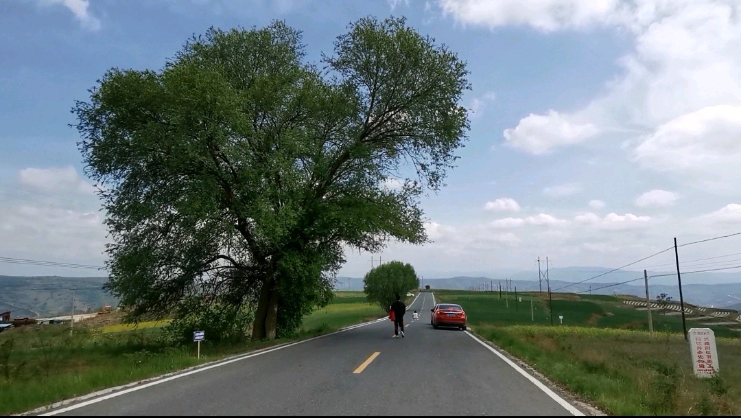 春末山行（图2）