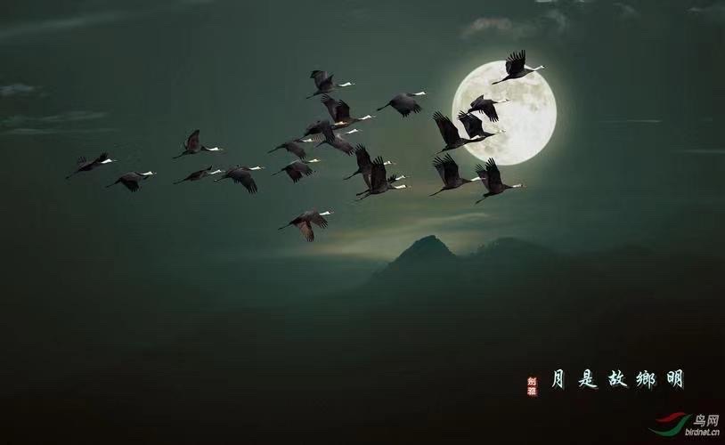 夏夜月思🌙文：神马（深圳）山之子（北京）四合院诗刊【世界诗人名人展】10951期（图6）