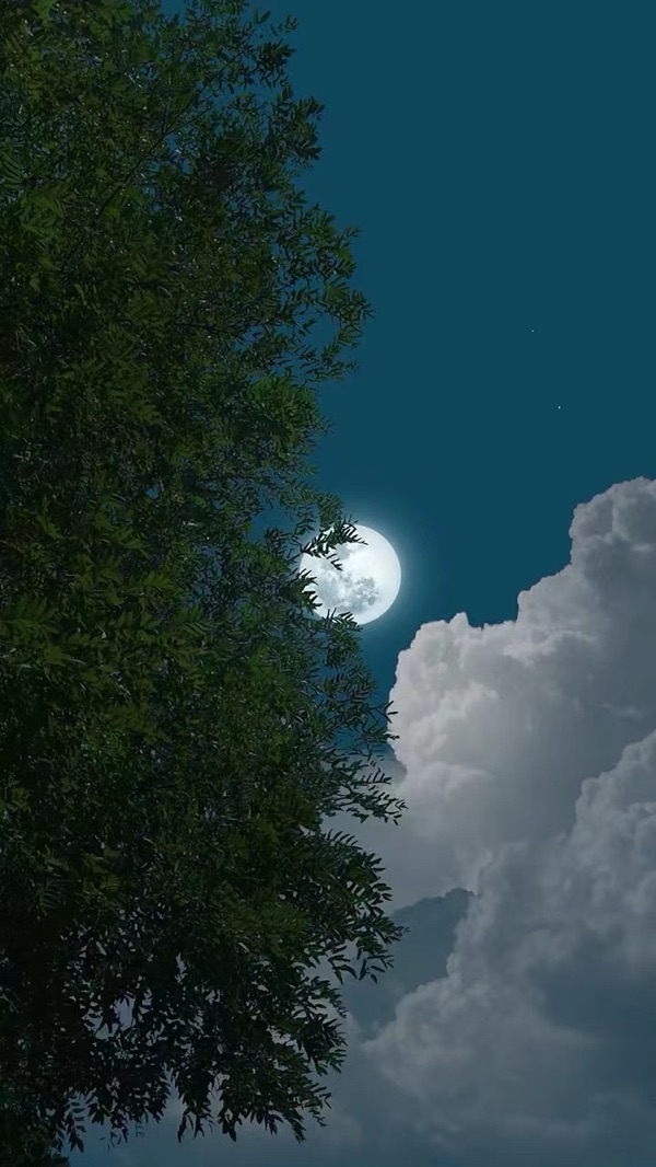 夏夜月思🌙文：神马（深圳）山之子（北京）四合院诗刊【世界诗人名人展】10951期（图7）