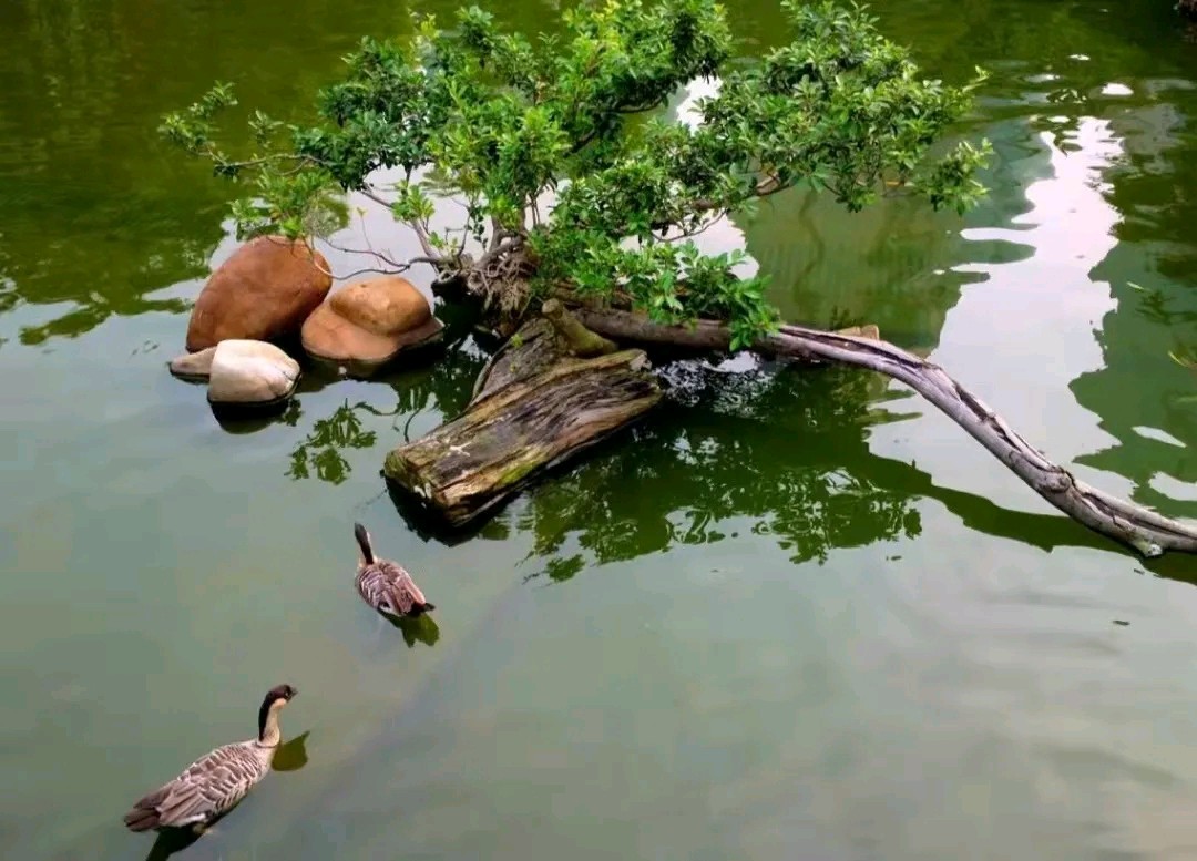 东方书剑的《七律•村居》
