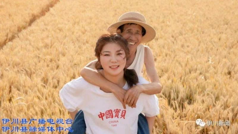 漂亮白鸽传佳话 ‖ 作者/余育华 朗诵/李卫（图11）