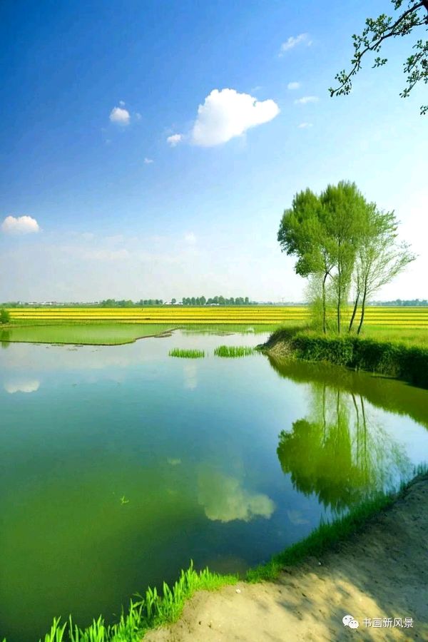 荐赏:古风 初夏吟//文/丁开平(江苏)//《华夏诗人》征稿//都市头条(图8)