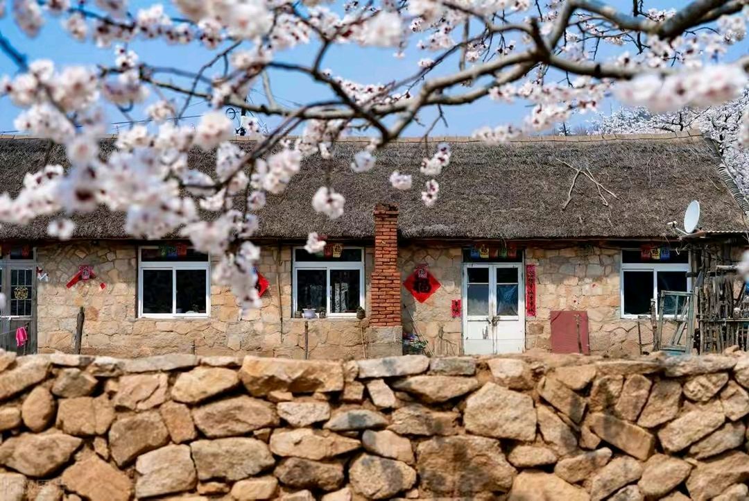 《著名现代诗人古诗七律新品鉴赏析》作者：刘文波 配乐：《诗画音乐》 [中国现代诗歌文化传媒]（图14）