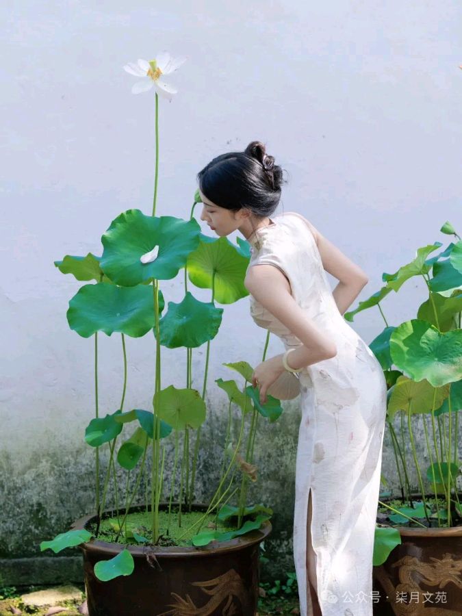 【新山东文学社】《等一枝荷花开，在立夏相拥》作者/农夫 主播/雨花石（图3）