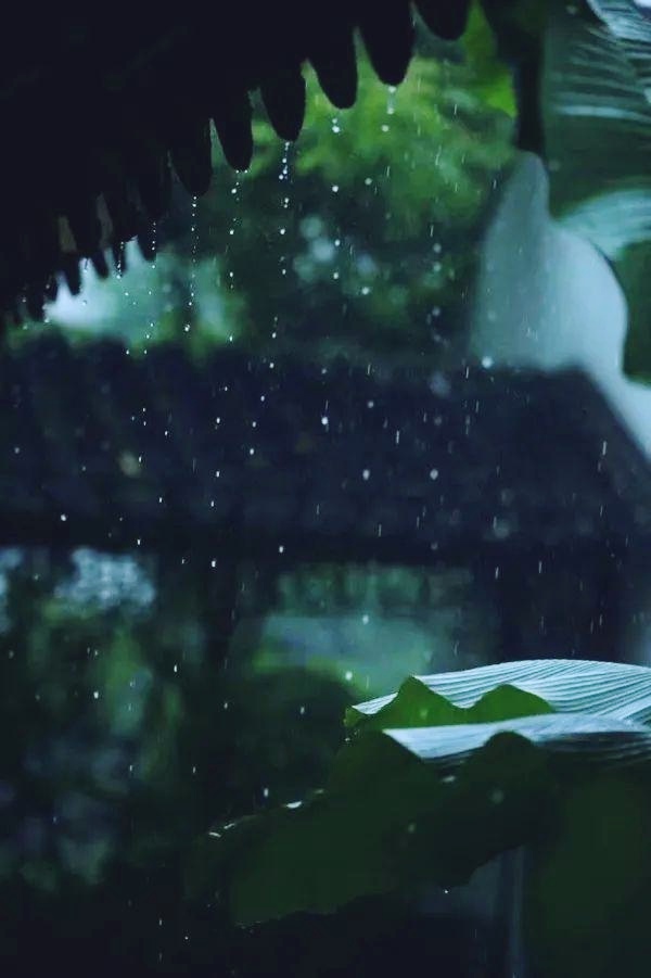 如梦令-昨夜风狂雨急（组合）词||李振林（图8）