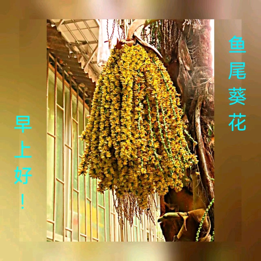 联机全球发布马洪武作品欣赏（图72）