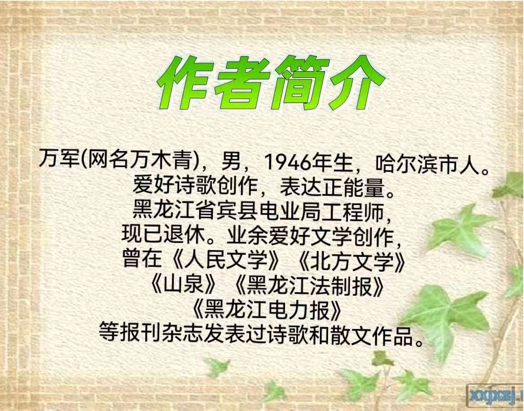 万木青现代诗专辑（图3）