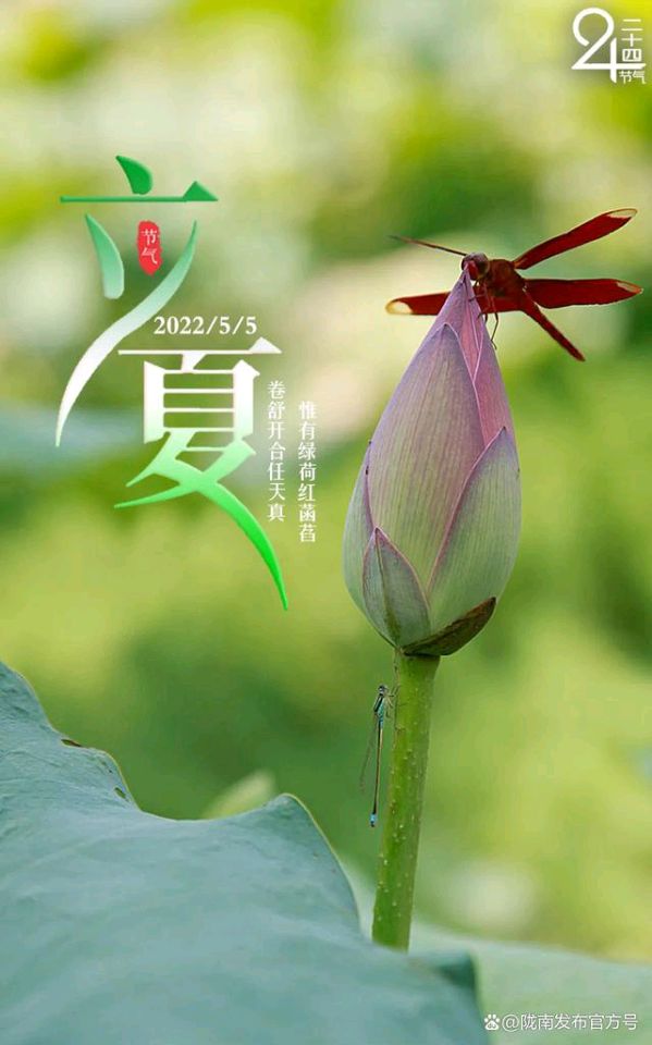 【新山东文学社】《立夏》作者/香香 主播/鲁怡秀凤（图4）