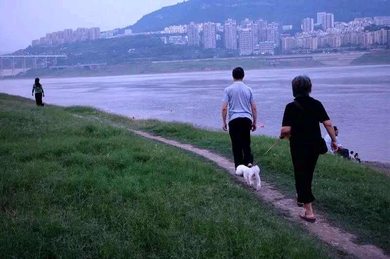 《踏沙行》 夏日 作者/宋安华（图4）