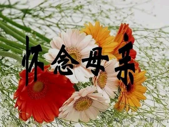 五绝《母亲节吟悔》五律《念母遐思》白文华（图3）