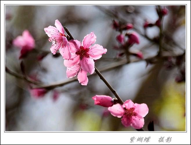 【神州源流诗苑】第1170期优秀现代诗等《都市头条》周刊(图6)