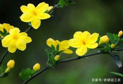 【国风燕赵诗社】北京诗人钱继荣老师个人诗词专辑！（图14）