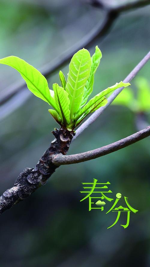 【国风燕赵诗社】北京诗人钱继荣老师个人诗词专辑！（图11）
