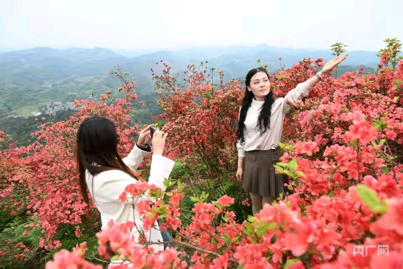 《映山红》作者:红蝴蝶 配乐:《诗画音乐》 [中国现代诗歌文化传媒]（图6）