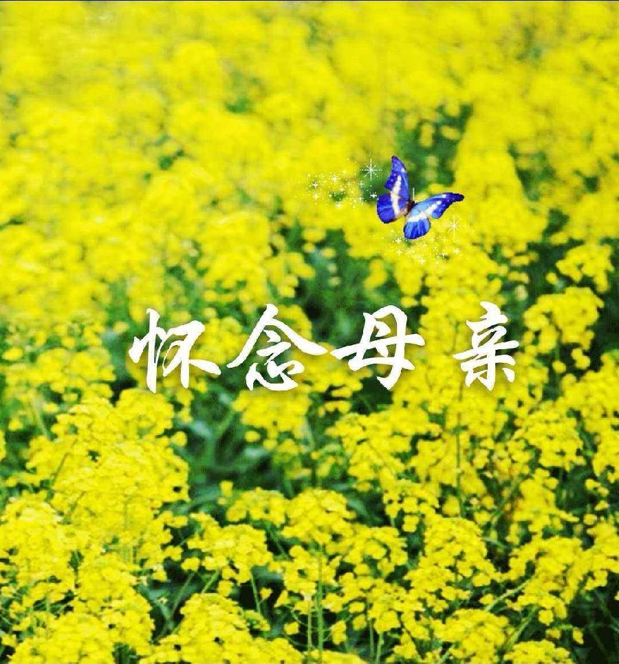 排律-母亲节追忆母亲～诗||杨景儒（图9）