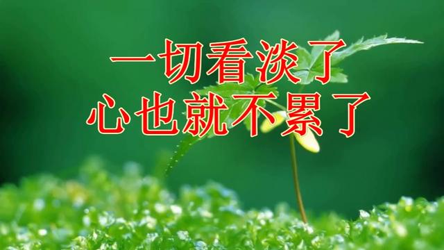 金子朗诵《金句》专集之十九;收集:金华(李敬党);编辑:开心快乐【运河之春】(160期)(图10)