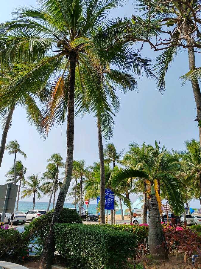 【神州源流诗苑】第1171期优秀近体诗《都市头条》周刊(图8)
