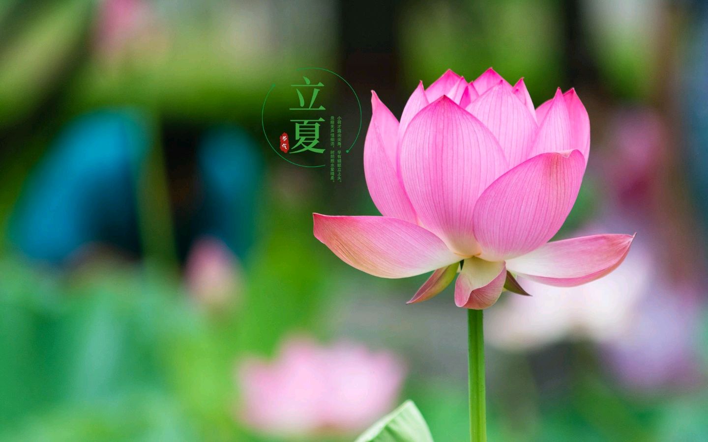 【神州源流诗苑】第1171期优秀近体诗《都市头条》周刊(图9)