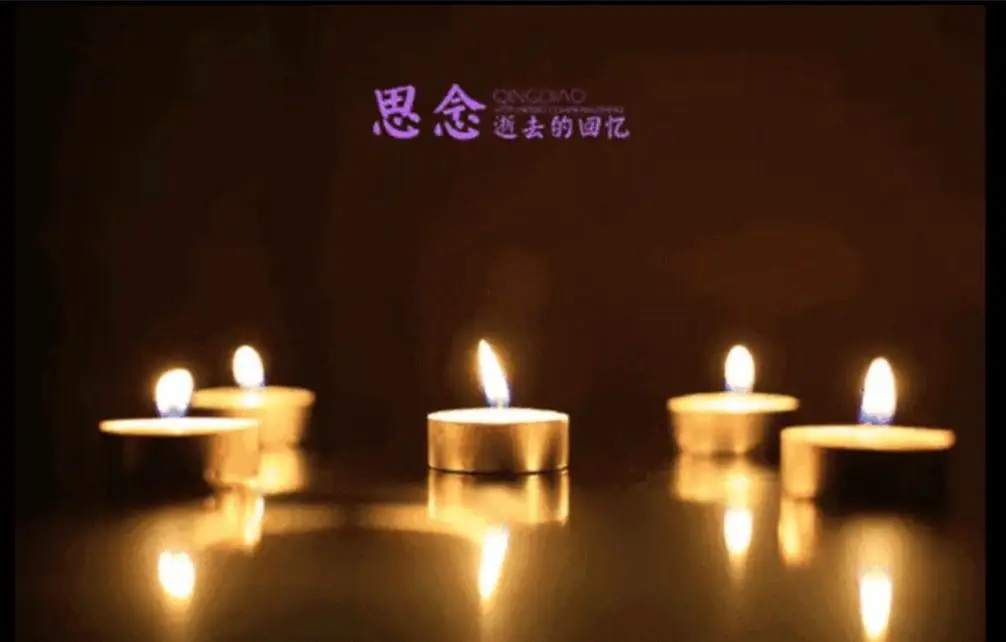 七律.母亲节追思 作者/卓顺贵(图2)