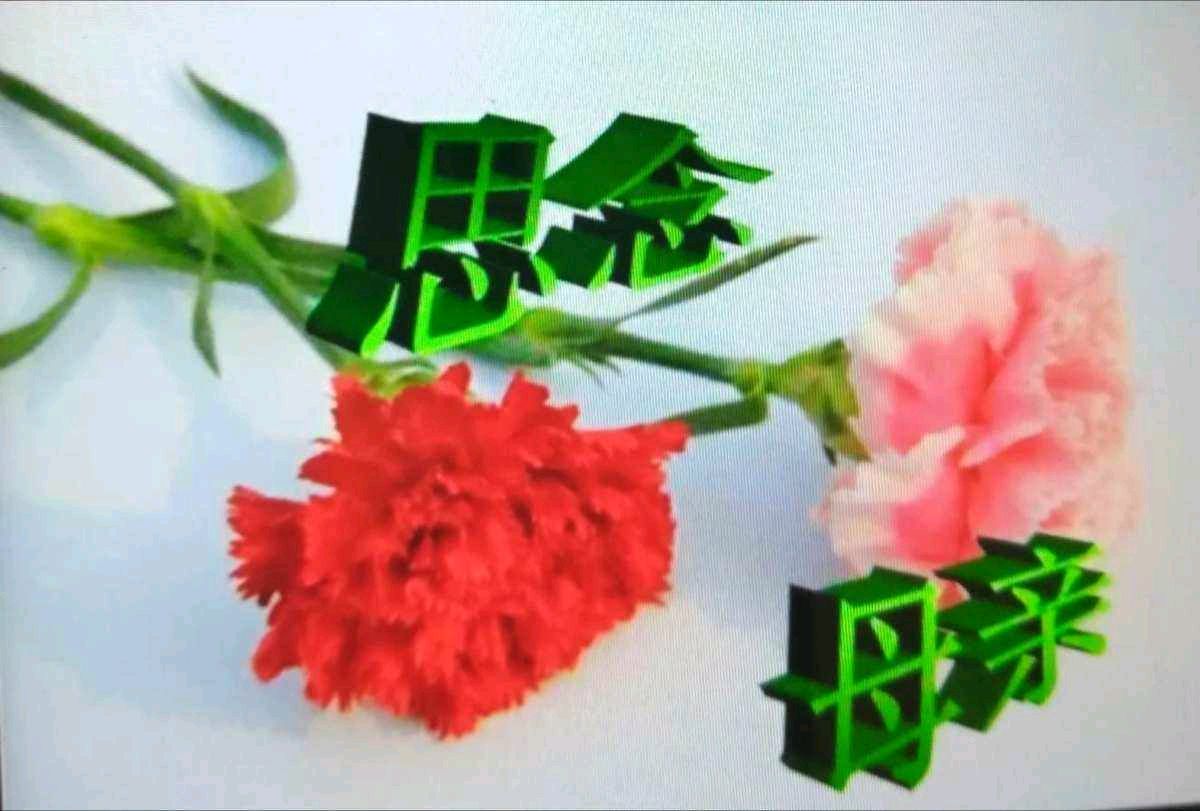 《九江文学社：北京头条》优秀诗人杨学是先生诗歌欣赏《妈妈 我想你了》（图2）