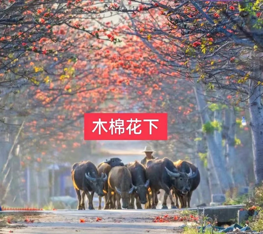 七绝四首-文／兰云-京津沪头条（图3）