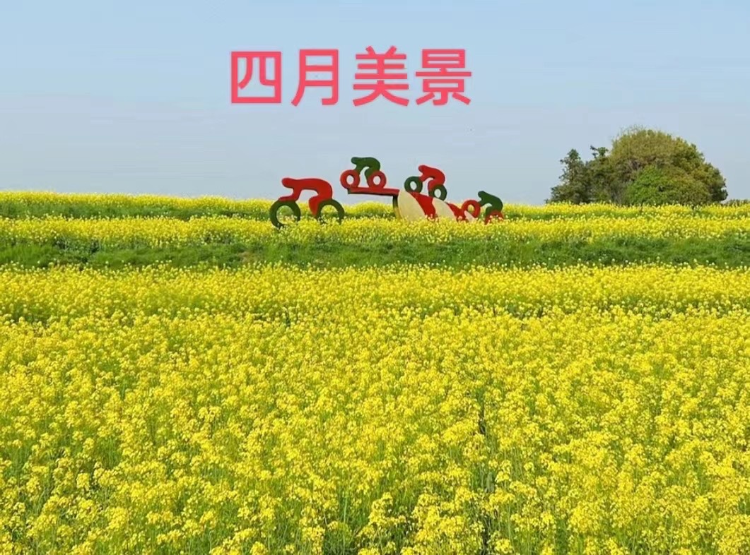 七绝四首-文／兰云-京津沪头条（图4）