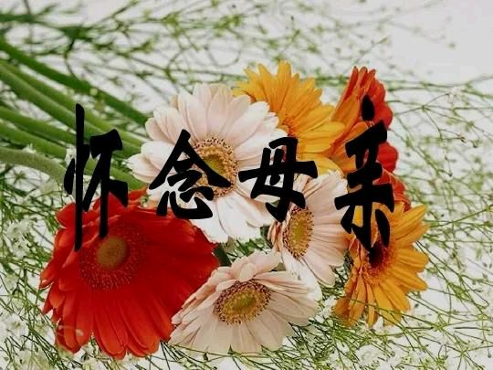 《许峰诗歌研究院》《甲辰母亲节》专刊（图6）