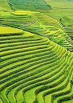 【英国文学】精品朗诵《醉美云和梯田》作者|朝晖、朗诵|薇薇、荐稿|贝蒂(图4)