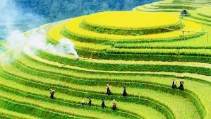 【英国文学】精品朗诵《醉美云和梯田》作者|朝晖、朗诵|薇薇、荐稿|贝蒂(图3)