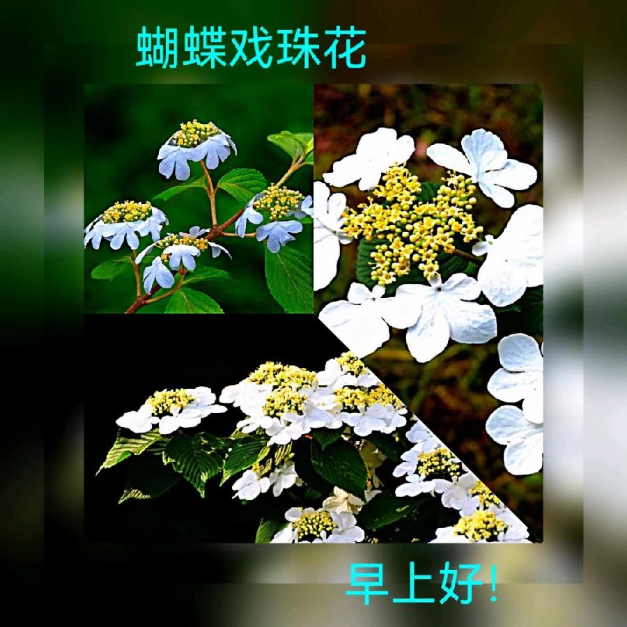 联机全球发布马洪武作品欣赏（图64）