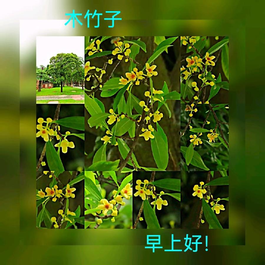 联机全球发布马洪武作品欣赏（图65）