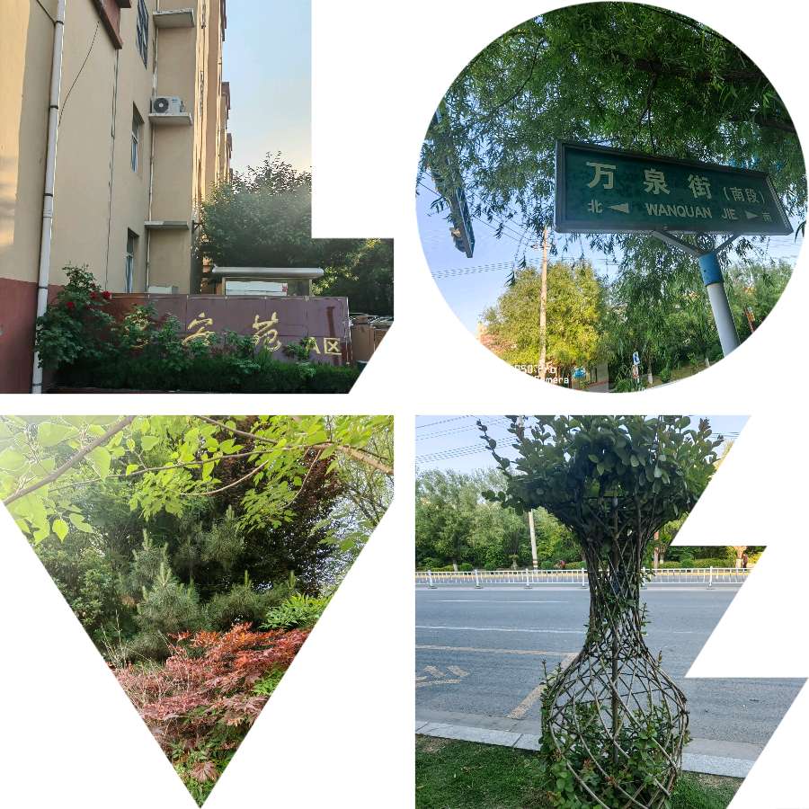 🎥【🏚古徵行記】（第23集）一一2024春夏故乡小居廿篇诗影专辑<B编•第06~10篇＞（图5）